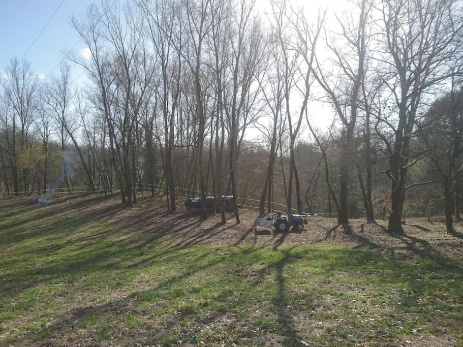 Location Meublee Au Milieu D'Un Ecrin De Verdure Aux Vieux Fours Noaillac Exterior foto